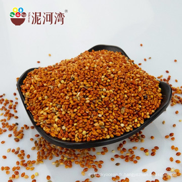 Millet de maïs à balai rouge Chine